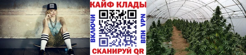 Где купить наркоту Петровск ГАШИШ Экстази Мефедрон АМФЕТАМИН