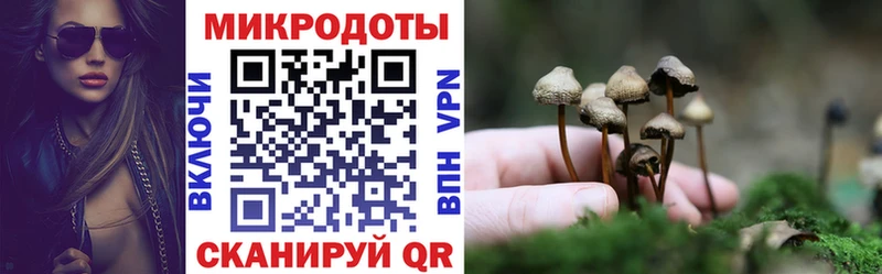 Псилоцибиновые грибы мицелий  купить наркотики цена  hydra   Петровск 